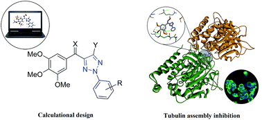 Graphical abstract: Synthesis and antiproliferative activity of 2-aryl-4-(3,4,5-trimethoxybenzoyl)-1,2,3-triazol derivatives as microtubule-destabilizing agents
