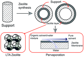 Graphical abstract: LTA zeolite membranes: current progress and challenges in pervaporation