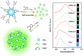 Graphical abstract: Green fluorescent organic nanoparticles based on carbon dots and self-polymerized dopamine for cell imaging