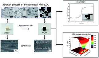 Graphical abstract: Solvothermal fabrication and growth behavior study of spherical MnFe2O4 through a bottom-up method on wood substrate with effective microwave absorption