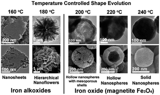 Graphical abstract: Temperature controlled shape evolution of iron oxide nanostructures in HMTA media