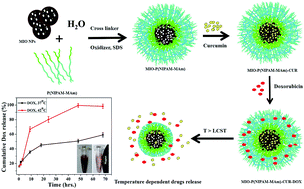 Graphical abstract: Investigation on a smart nanocarrier with a mesoporous magnetic core and thermo-responsive shell for co-delivery of doxorubicin and curcumin: a new approach towards combination therapy of cancer