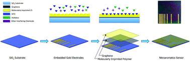 Graphical abstract: Graphene based nanosensor for aqueous phase detection of nitroaromatics