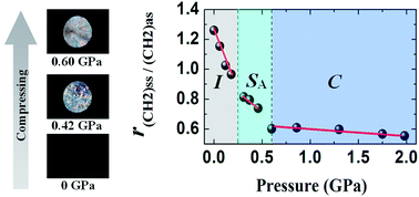 Graphical abstract: Pressure-induced ionic liquid crystal in 1-dodecyl-3-methylimidazolium tetrafluoroborate