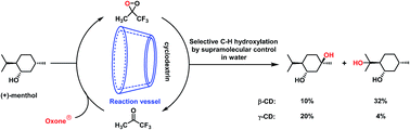 Graphical abstract: Selective C–H bond hydroxylation of cyclohexanes in water by supramolecular control