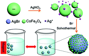 Graphical abstract: A Z-scheme magnetic recyclable Ag/AgBr@CoFe2O4 photocatalyst with enhanced photocatalytic performance for pollutant and bacterial elimination