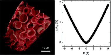 Graphical abstract: Linear magnetoresistance in gold foams