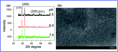 Graphical abstract: High-yield synthesis and fine-tuning aspect ratio of (200) faceted gold nanorods by the pH-adjusting method