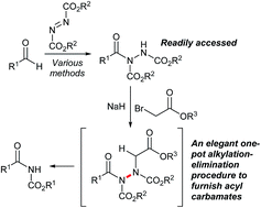 Graphical abstract: Enabling the facile conversion of acyl hydrazides into N-acyl carbamates via metal-free ionic-based rupture of the N–N linkage
