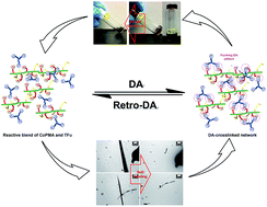 Graphical abstract: Ambient temperature induced Diels–Alder crosslinked networks based on controlled methacrylate copolymers for enhanced thermoreversibility and self-healability