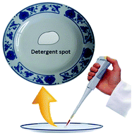 Graphical abstract: Detection of domestic detergent residues on porcelain tableware using laser induced breakdown spectroscopy