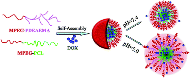 Graphical abstract: Fabrication of PDEAEMA-based pH-responsive mixed micelles for application in controlled doxorubicin release