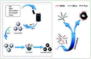 Graphical abstract: Preparation of magnetic metal organic framework nanocomposites for efficient and selective adsorption of hemoglobin from bovine blood