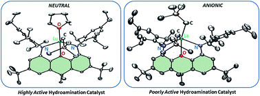 Graphical abstract: Rigid NON-donor pincer ligand complexes of lutetium and lanthanum: synthesis and hydroamination catalysis