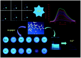Graphical abstract: A novel hexahydroquinazolin-2-amine-based fluorescence sensor for Cu2+ from isolongifolanone and its biological applications