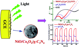 Graphical abstract: NiO and Co3O4 co-doped g-C3N4 nanocomposites with excellent photoelectrochemical properties under visible light for detection of tetrabromobisphenol-A