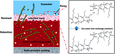 Graphical abstract: Synthesis of zinc-based acrylate copolymers and their marine antifouling application