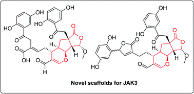 Graphical abstract: (±)-Applanatumines B–D: novel dimeric meroterpenoids from Ganoderma applanatum as inhibitors of JAK3