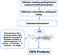 Graphical abstract: Carbon nanotubes synthesis using carbonization of pretreated rice straw through chemical vapor deposition of camphor