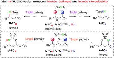 Graphical abstract: A comparative study of inter- and intramolecular C–H aminations: mechanism and site selectivity