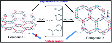 Graphical abstract: Solvent-induced construction of two zinc supramolecular isomers: synthesis, framework flexibility, sensing properties, and adsorption of dye molecules