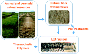 Graphical abstract: Lignocellulosic fibers: a critical review of the extrusion process for enhancement of the properties of natural fiber composites