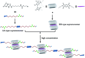 Graphical abstract: Neutral linear supramolecular polymers constructed by three different interactions
