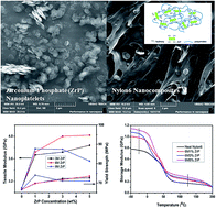 Graphical abstract: Enhanced mechanical properties of Nylon6 nanocomposites containing pristine α-zirconium phosphate nanoplatelets of various sizes by melt-compounding