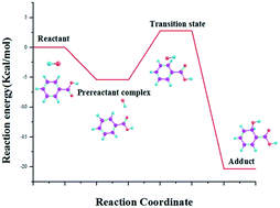 Graphical abstract: Reactions of hydroxyl radicals with benzoic acid and benzoate