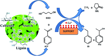 Graphical abstract: One-pot synthesis of ethylbenzene/1-phenylethanol and γ-butyrolactone from simultaneous acetophenone hydrogenation and 1,4-butanediol dehydrogenation over copper based catalysts: effects of the support