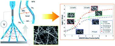 Graphical abstract: Defining the role of nanonetting in the electrical behaviour of composite nanofiber/nets