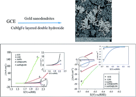 Graphical abstract: A gold nanodendrite-decorated layered double hydroxide as a bifunctional electrocatalyst for hydrogen and oxygen evolution reactions in alkaline media