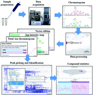 Graphical abstract: Exploring potential biomarkers and determining the metabolic mechanism of type 2 diabetes mellitus using liquid chromatography coupled to high-resolution mass spectrometry