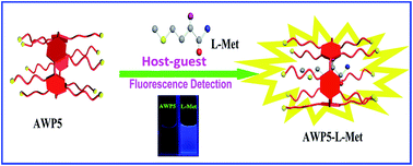 Graphical abstract: A water-soluble pillar[5]arene-based chemosensor for highly selective and sensitive fluorescence detection of l-methionine