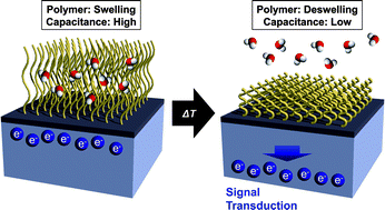 Graphical abstract: Dynamic electrical behaviour of a thermoresponsive polymer in well-defined poly(N-isopropylacrylamide)-grafted semiconductor devices
