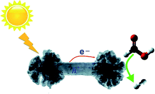 Graphical abstract: Facile synthesis of Au/Pd nano-dogbones and their plasmon-enhanced visible-to-NIR light photocatalytic performance