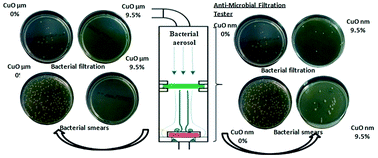 Graphical abstract: Modified polyurethane nanofibers as antibacterial filters for air and water purification