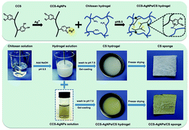 Graphical abstract: A novel silver-loaded chitosan composite sponge with sustained silver release as a long-lasting antimicrobial dressing