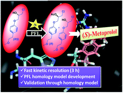 Graphical abstract: Kinetic resolution of (RS)-1-chloro-3-(4-(2-methoxyethyl)phenoxy)propan-2-ol: a metoprolol intermediate and its validation through homology model of Pseudomonas fluorescens lipase
