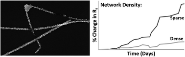 Graphical abstract: The dependence of silver nanowire stability on network composition and processing parameters