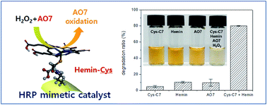 Graphical abstract: Hemin-bound cysteinyl bolaamphiphile self-assembly as a horseradish peroxidase-mimetic catalyst