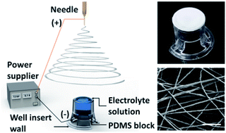 Graphical abstract: One-step fabrication of a tunable nanofibrous well insert via electrolyte-assisted electrospinning