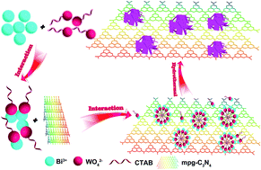 Graphical abstract: Hydrothermal synthesis of mpg-C3N4 and Bi2WO6 nest-like structure nanohybrids with enhanced visible light photocatalytic activities
