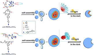 Graphical abstract: Photoresponsive amphiphilic block macrocycles bearing azobenzene side chains