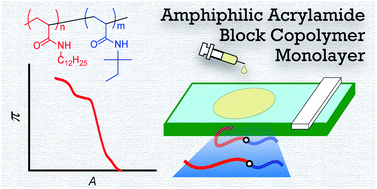 Graphical abstract: Amphiphilic acrylamide block copolymer: RAFT block copolymerization and monolayer behaviour