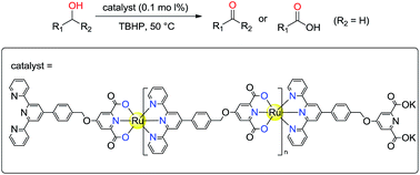Graphical abstract: Synthesis of an oligomer ruthenium complex and its catalysis in the oxidation of alcohols