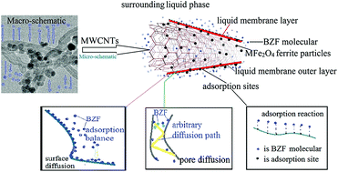 Graphical abstract: Adsorptive removal of aqueous bezafibrate by magnetic ferrite modified carbon nanotubes