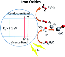 Graphical abstract: Radiation enhanced uptake of Hg0(g) on iron (oxyhydr)oxide nanoparticles