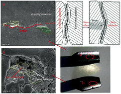 Graphical abstract: A novel preparation of resin-based electrical contact material impregnated with sulfonated graphene