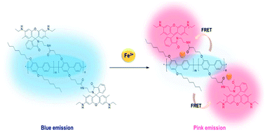 Graphical abstract: Synthesis of poly(p-phenylene) containing a rhodamine 6G derivative for the detection of Fe(iii) in organic and aqueous media